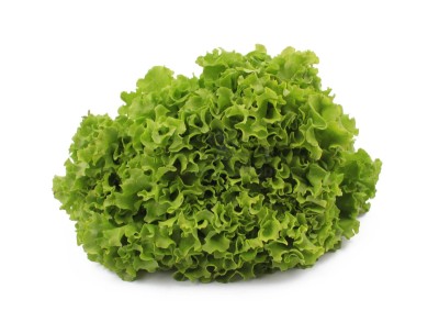 Салат айсберг 300 г - купить в Терской