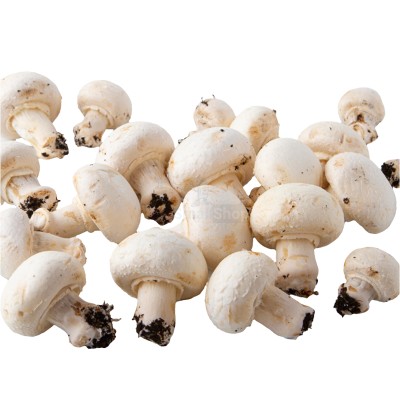 Шампиньоны свежие 500 г - купить в Терской